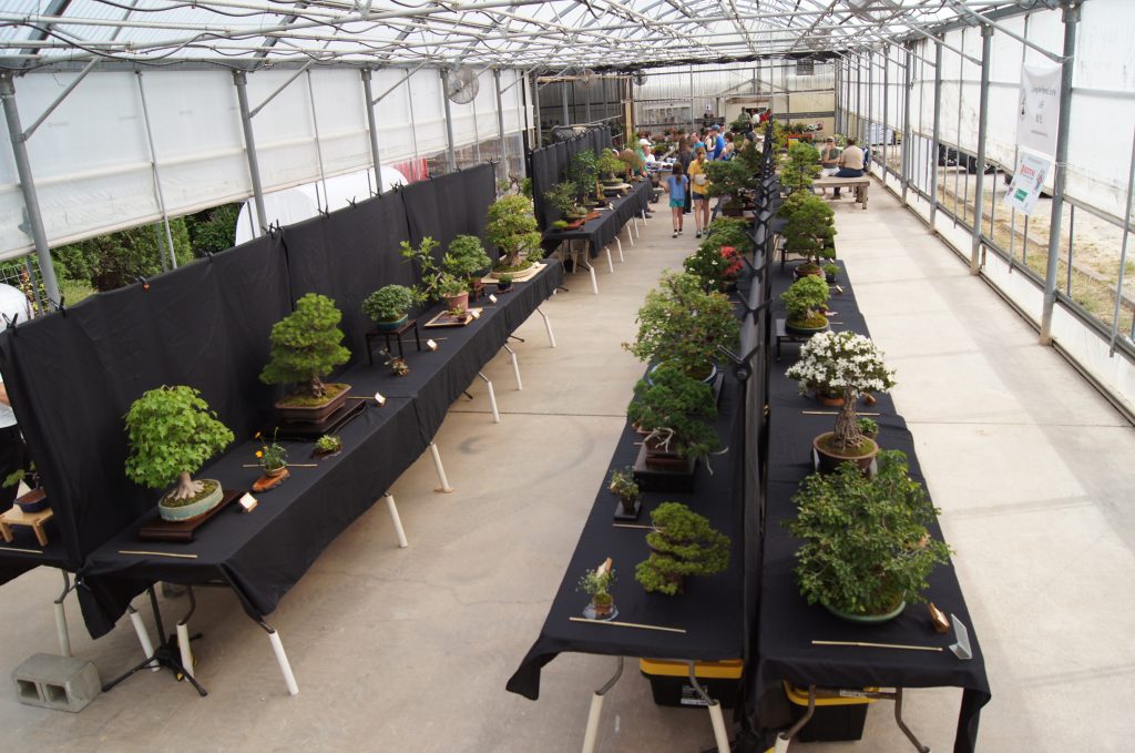 LABS Row Display