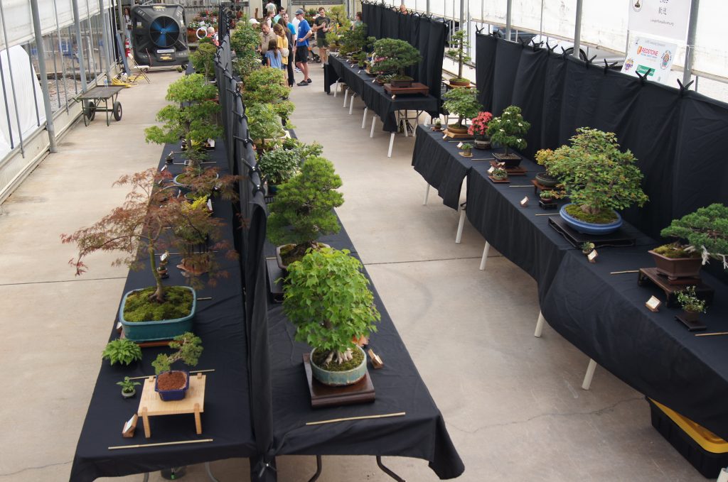 LABS Row Display