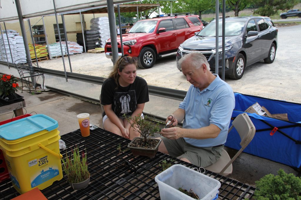 Bonsai Demo
